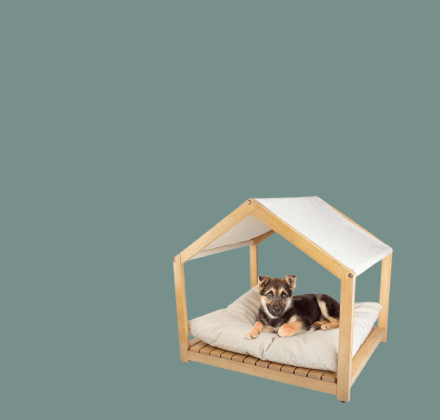Cozy & stylish pet bed collection